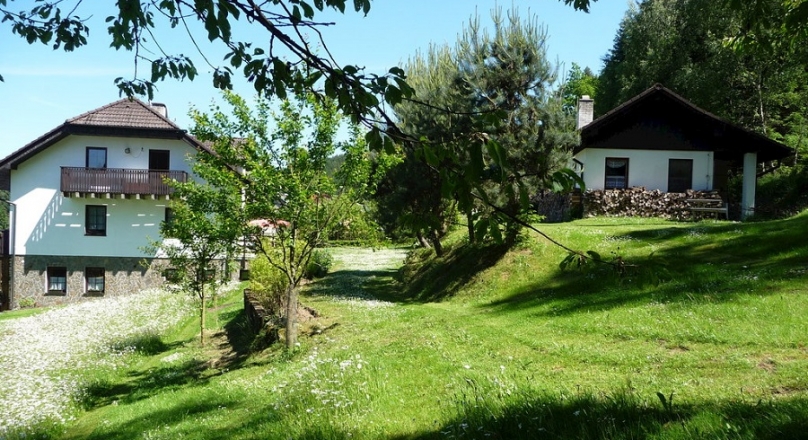 penzion Pod Lesem
