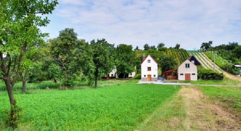 vinařství Maixner