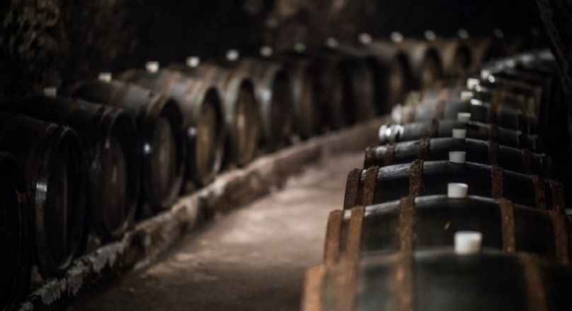 vinárstvo TOKAJ & CO Malá Tŕňa