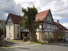 hotel U Zeleného stromu ***