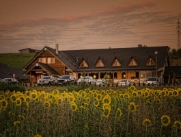 Salaš & Wellness Penzión & Drevenice ŠARIŠ PARK