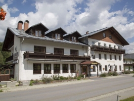 hotel Lesní Dům ***
