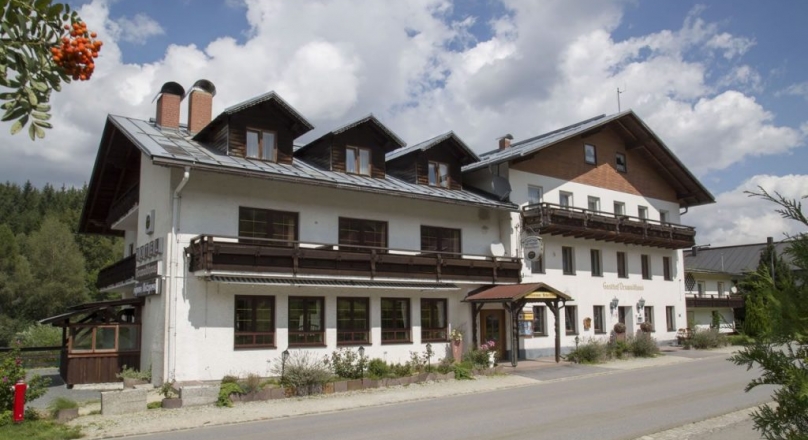 hotel Lesní Dům ***