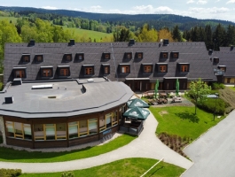 Wellness hotel Říčky ***