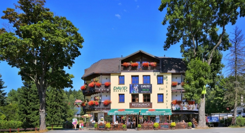 Wellness hotel David